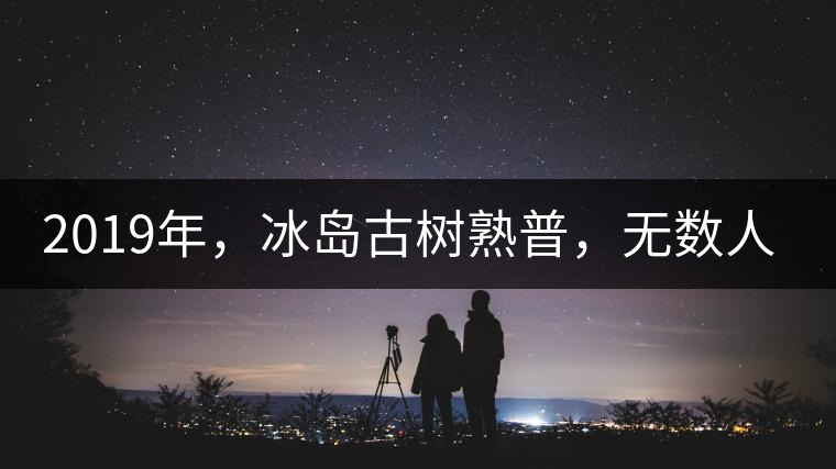 2019年，冰島古樹熟普，無數(shù)人在尋找