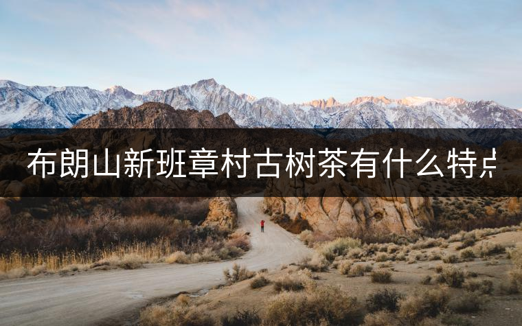 布朗山新班章村古樹(shù)茶有什么特點(diǎn)？