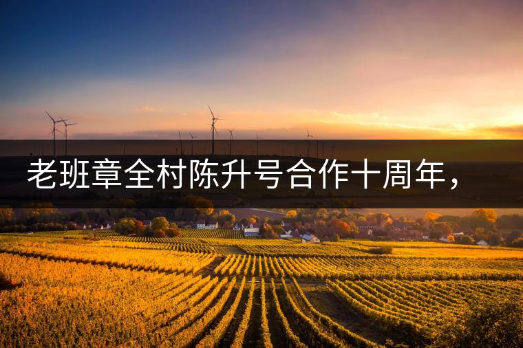 老班章全村陳升號合作十周年，贈(zèng)送千兩百家茶