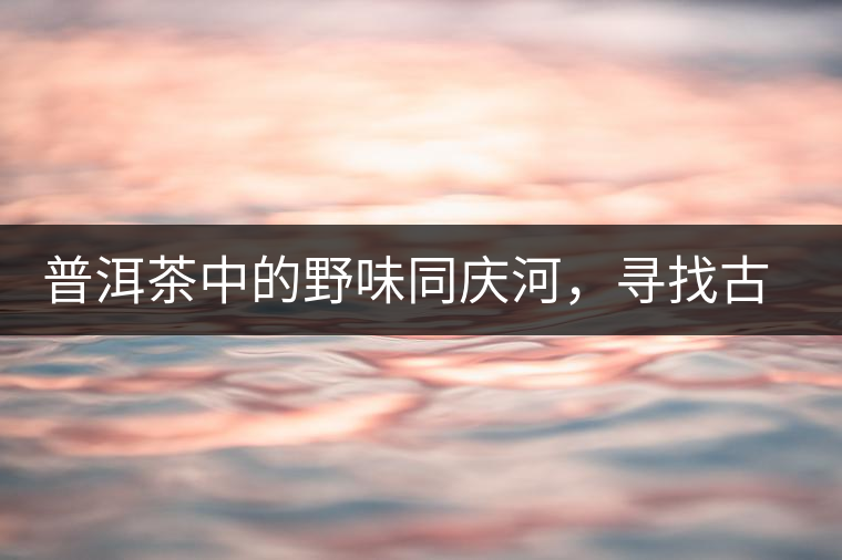 普洱茶中的野味同慶河，尋找古樹(shù)茶山新寵的蹤跡