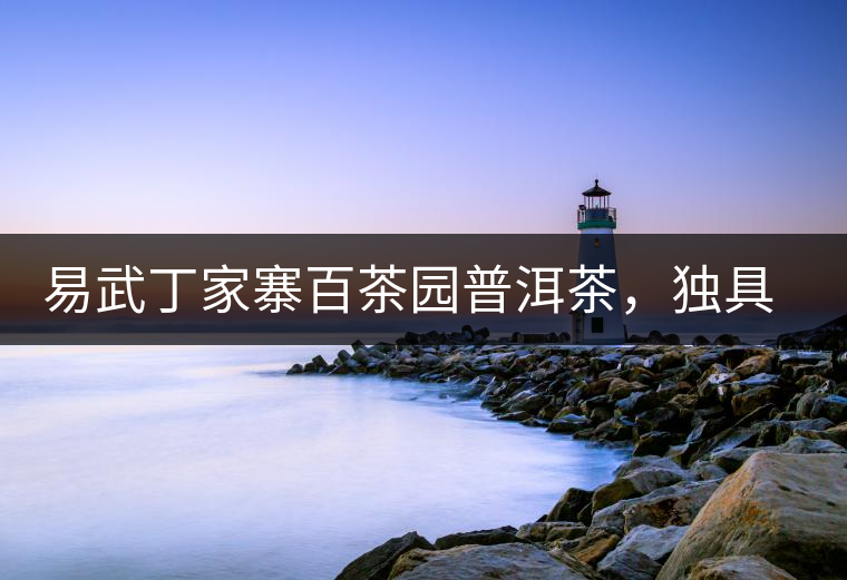 易武丁家寨百茶園普洱茶，獨具魅力的原始古樹茶