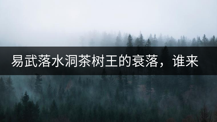 易武落水洞茶樹王的衰落，誰來關(guān)注古樹茶？