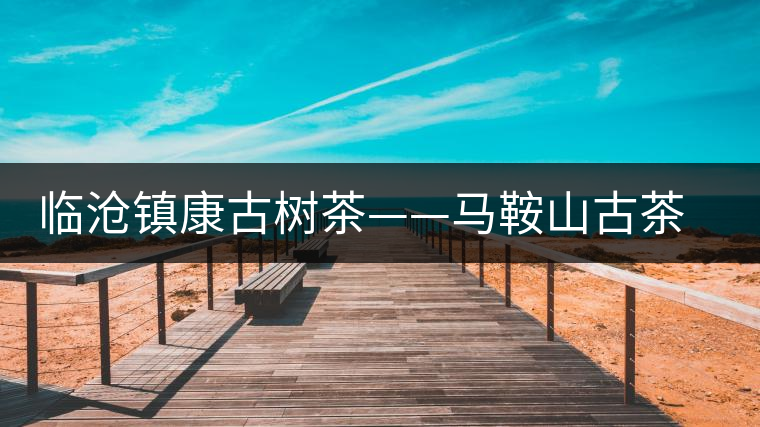 臨滄鎮(zhèn)康古樹茶——馬鞍山古茶園