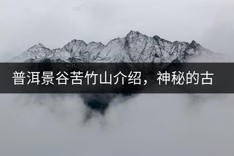 普洱景谷苦竹山介紹，神秘的古樹普洱茶原產(chǎn)地