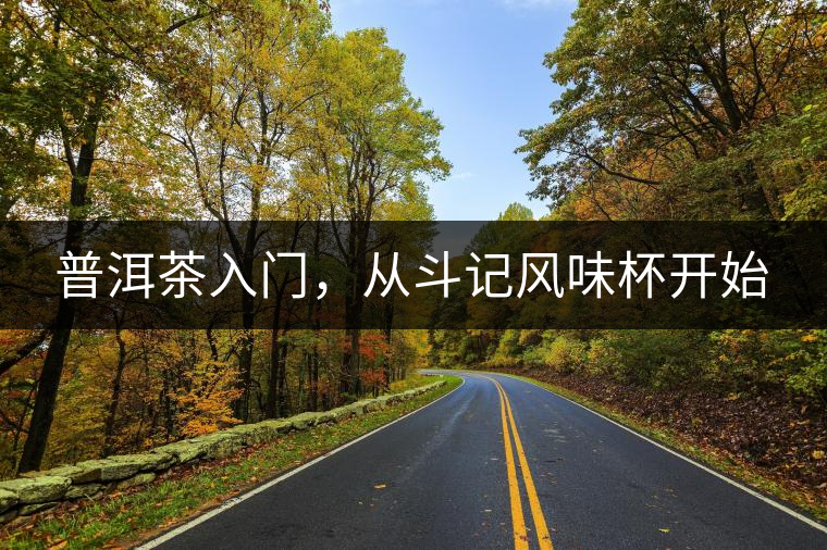 普洱茶入門，從斗記風(fēng)味杯開始