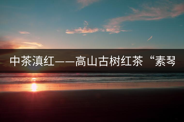 中茶滇紅——高山古樹紅茶“素琴紅” 中茶滇紅——高山古樹紅茶“素琴紅”