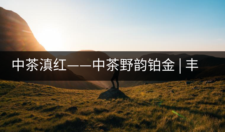 中茶滇紅——中茶野韻鉑金 | 豐苗挺秀，山野花香