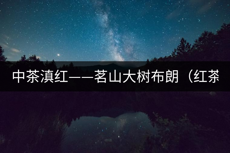 中茶滇紅——茗山大樹布朗（紅茶）-苦后回甘