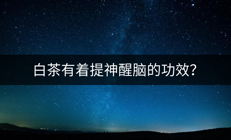 白茶有著提神醒腦的功效？