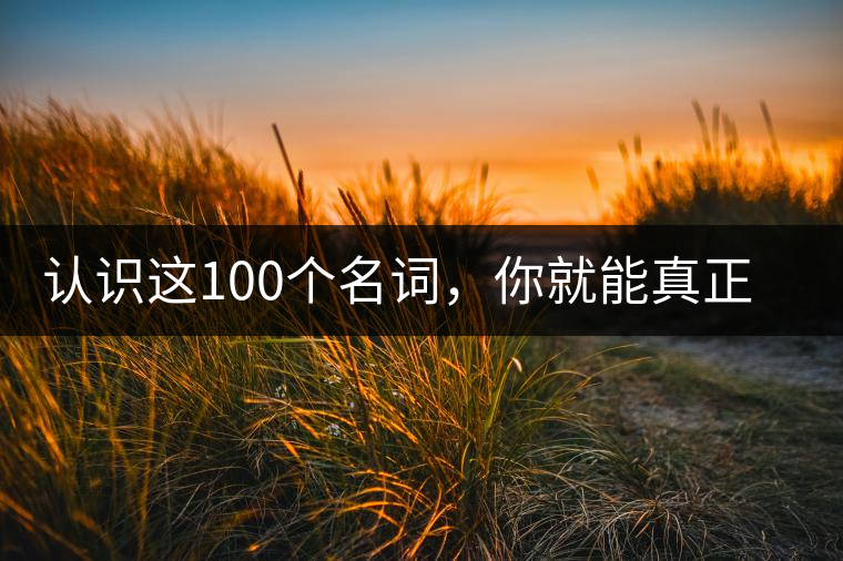 認(rèn)識這100個名詞，你就能真正了解普洱茶？