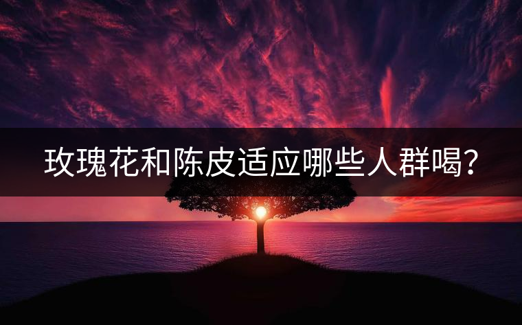 玫瑰花和陳皮適應(yīng)哪些人群喝？