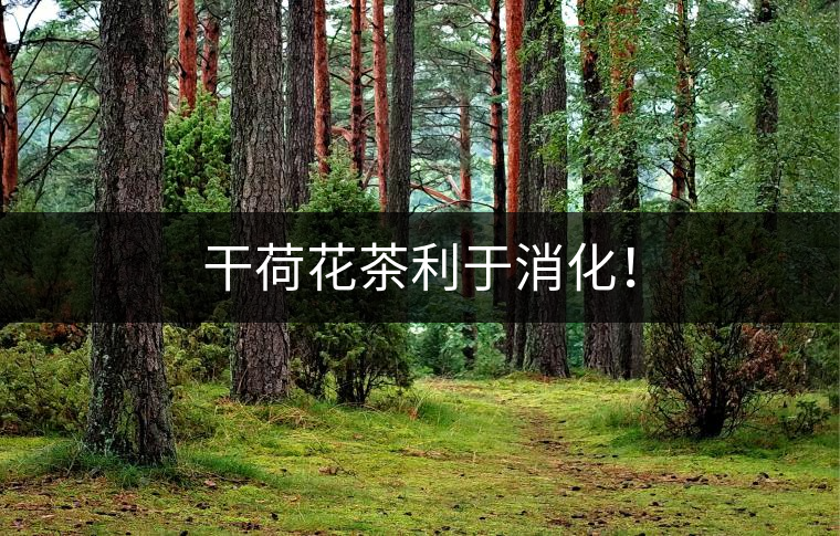 干荷花茶利于消化！