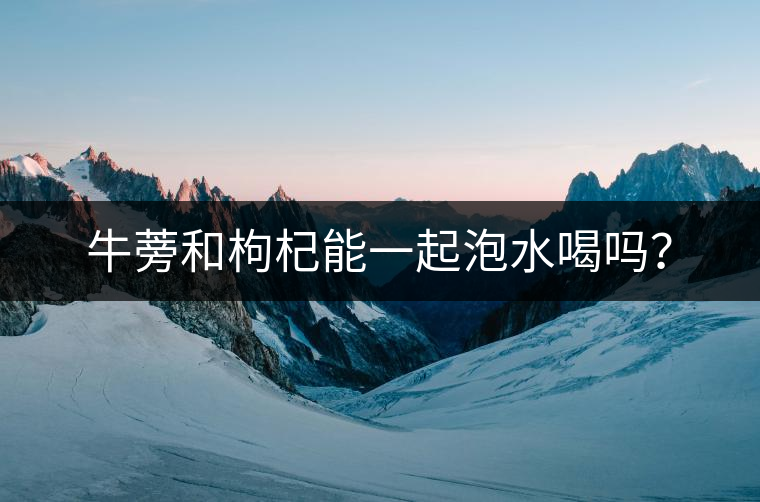 牛蒡和枸杞能一起泡水喝嗎？