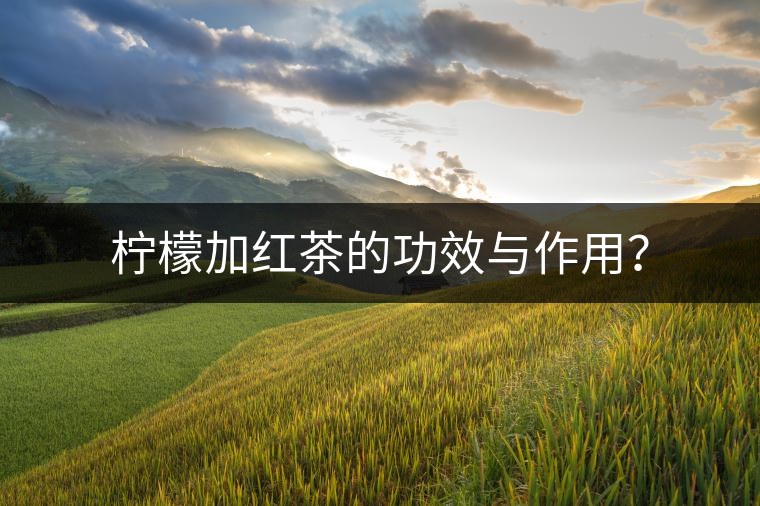 檸檬加紅茶的功效與作用？