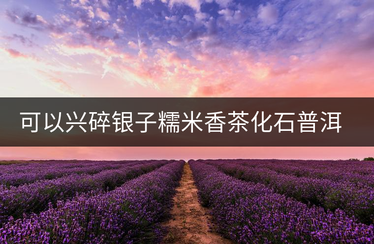 可以興碎銀子糯米香茶化石普洱茶熟茶特級易武古樹茶葉禮盒裝送禮 可以興碎銀子糯米香茶化石普洱茶熟茶特級易武古樹茶葉禮盒裝送禮