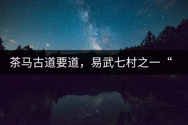 茶馬古道要道，易武七村之一“張家灣”古茶園