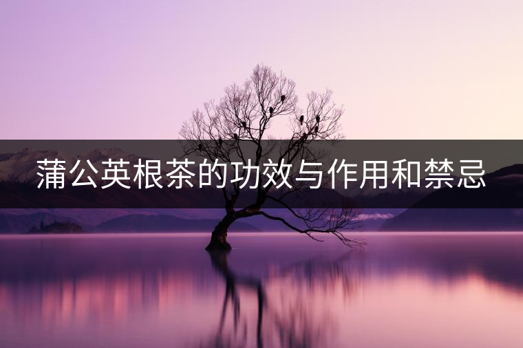 蒲公英根茶的功效與作用和禁忌 蒲公英根茶的功效與作用和禁忌