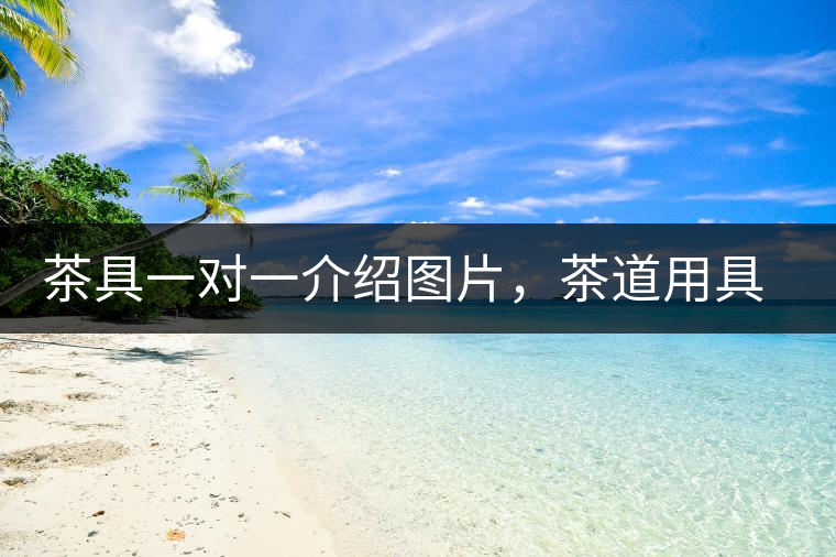 茶具一對一介紹圖片，茶道用具圖解