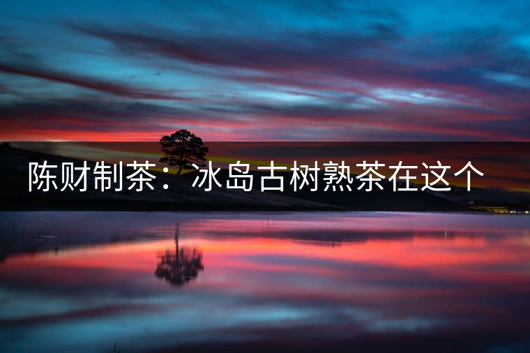 陳財制茶：冰島古樹熟茶在這個世界真的存在嗎？