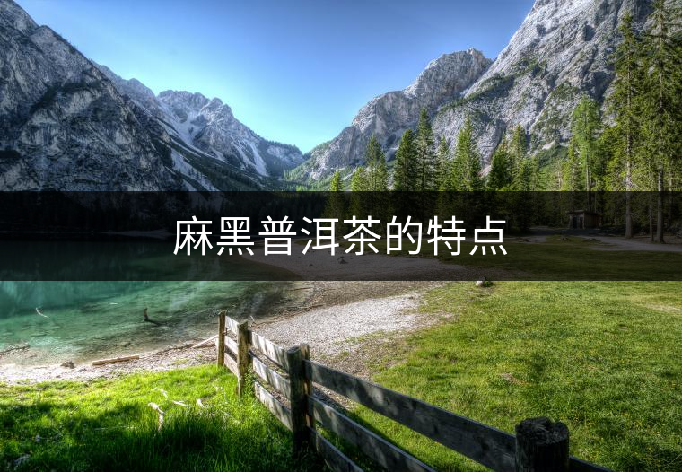 麻黑普洱茶的特點