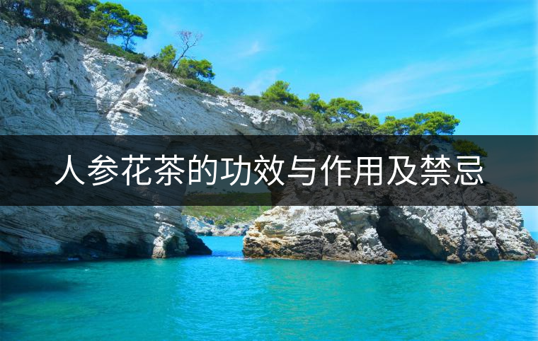 人參花茶的功效與作用及禁忌 人參花茶的功效與作用及禁忌