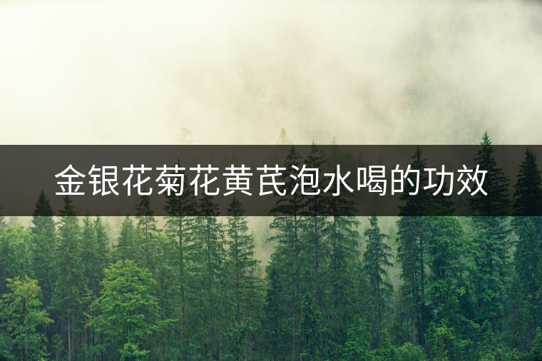 金銀花菊花黃芪泡水喝的功效 金銀花菊花黃芪泡水喝的功效