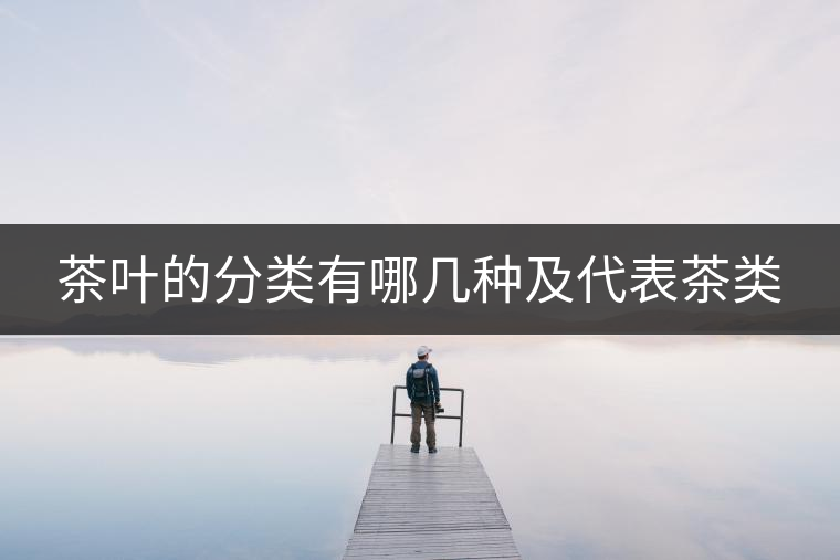 茶葉的分類(lèi)有哪幾種及代表茶類(lèi)
