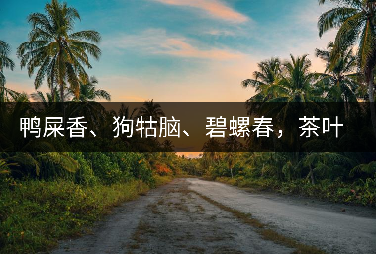 鴨屎香、狗牯腦、碧螺春，茶葉到底是如何被命名的