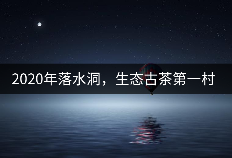 2020年落水洞，生態(tài)古茶第一村-易武中聘號(hào)