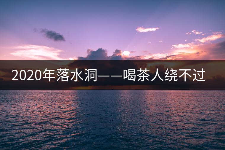 2020年落水洞——喝茶人繞不過的溫柔鄉(xiāng)！-易武中聘號