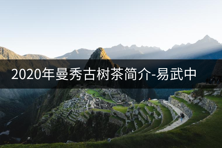 2020年曼秀古樹茶簡(jiǎn)介-易武中聘號(hào) 2020年曼秀古樹茶簡(jiǎn)介-易武中聘號(hào)
