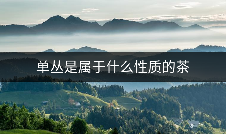 單叢是屬于什么性質(zhì)的茶 單叢是屬于什么性質(zhì)的茶