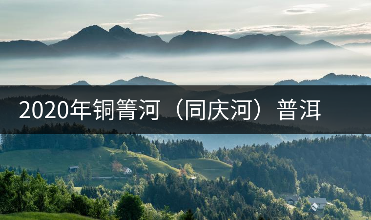 2020年銅箐河（同慶河）普洱茶，野味真難尋！-易武中聘號