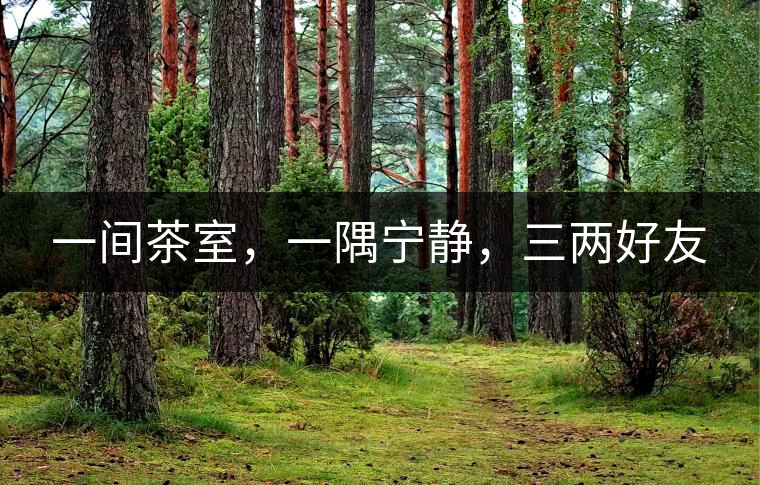 一間茶室，一隅寧靜，三兩好友