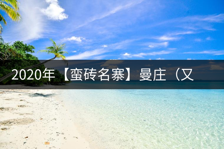 2020年【蠻磚名寨】曼莊（又作：蠻磚、曼磚）-易武中聘號(hào)