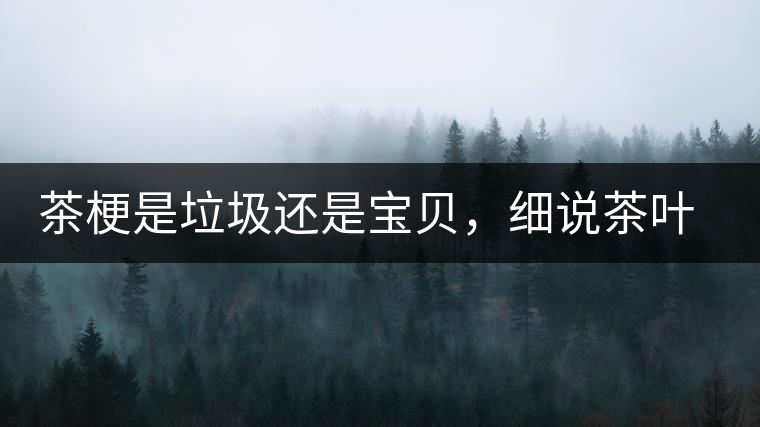 茶梗是垃圾還是寶貝，細(xì)說(shuō)茶葉的那些梗