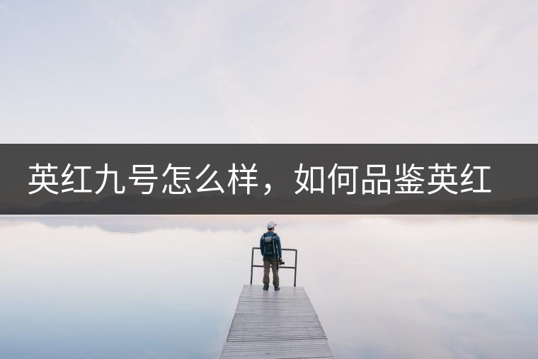 英紅九號怎么樣，如何品鑒英紅九號紅茶