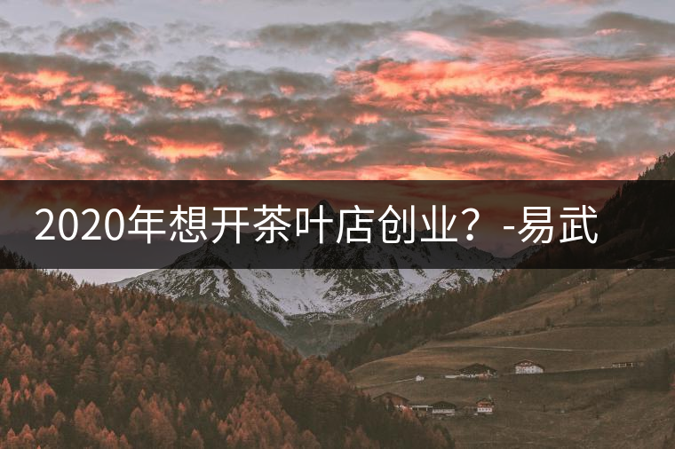 2020年想開(kāi)茶葉店創(chuàng)業(yè)？-易武中聘號(hào)