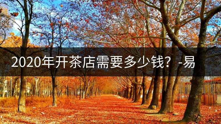 2020年開茶店需要多少錢？-易武中聘號