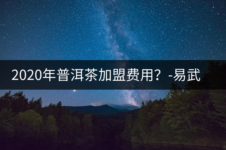 2020年普洱茶加盟費用？-易武中聘號