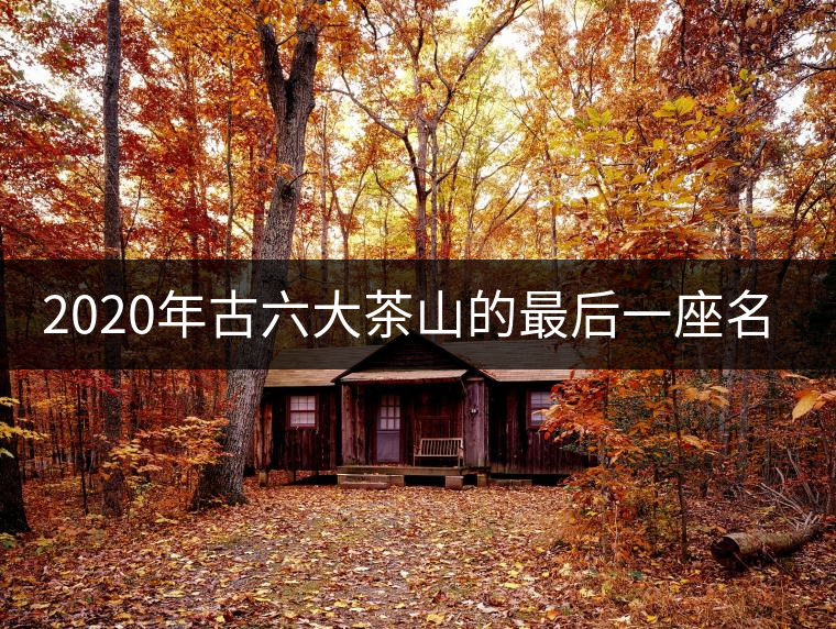 2020年古六大茶山的最后一座名山——攸樂山。-易武中聘號