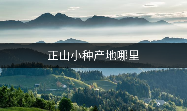 正山小種產(chǎn)地哪里