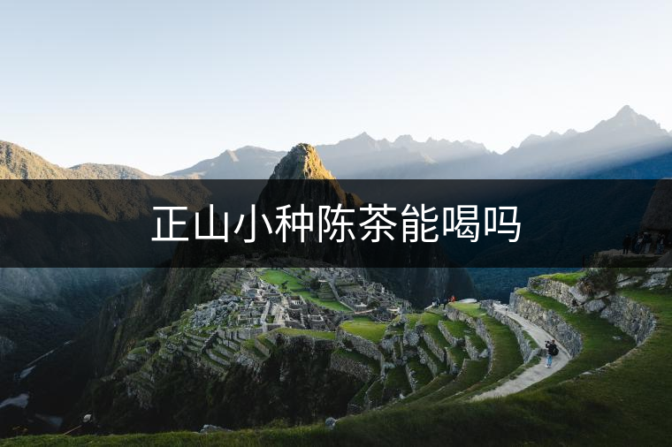 正山小種陳茶能喝嗎 正山小種陳茶能喝嗎