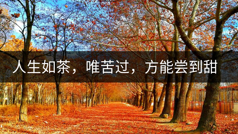 人生如茶，唯苦過，方能嘗到甜滋味