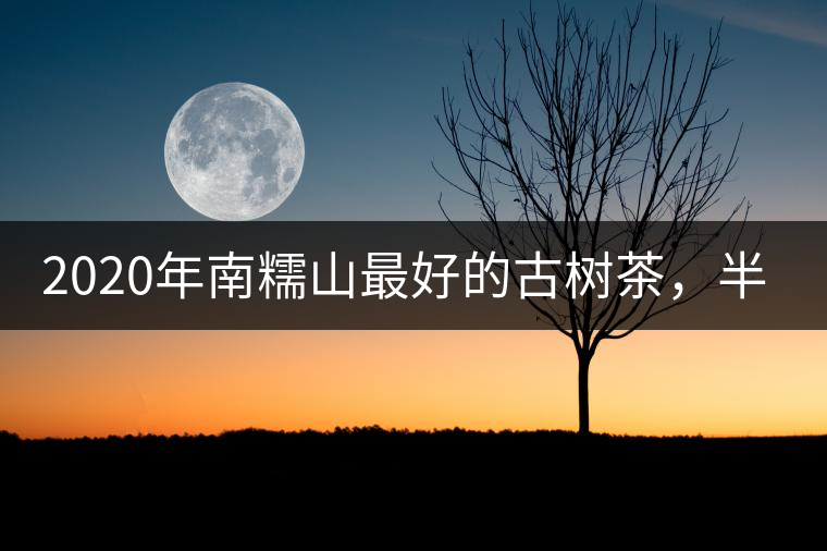 2020年南糯山最好的古樹(shù)茶，半坡老寨！-易武中聘號(hào)