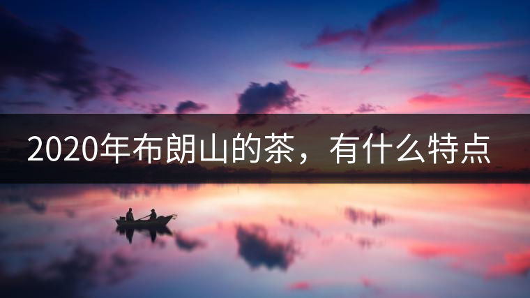 2020年布朗山的茶，有什么特點(diǎn)？-易武中聘號(hào)