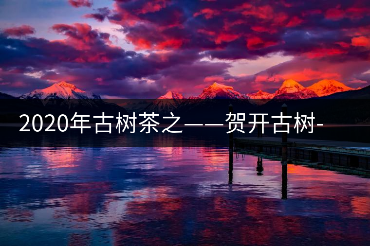 2020年古樹(shù)茶之——賀開(kāi)古樹(shù)-易武中聘號(hào)