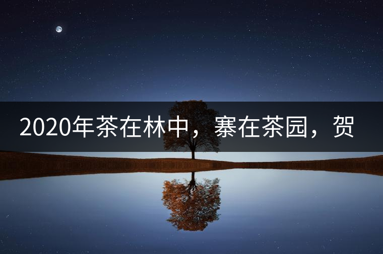 2020年茶在林中，寨在茶園，賀開古樹茶-易武中聘號(hào)