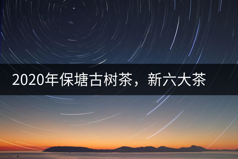 2020年保塘古樹(shù)茶，新六大茶山之勐宋茶佼佼者-易武中聘號(hào)