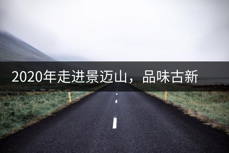 2020年走進(jìn)景邁山，品味古新六大茶山古樹茶之韻-易武中聘號